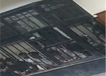 السجن المؤبد وغرامة 33 مليون جنيه لـ 15 موظفاً بمصلحة الجمارك 2025