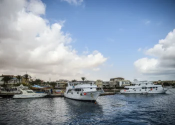 مصر تفشل فى زيادة حصتها من سياحة اليخوت .. ومستثمرون يقدمون نصائح 2025