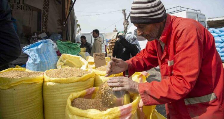 تونس تقرض 87 مليون دولار من مع البنك الإفريقي لشراء الحبوب 2024