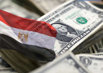 البنك المركزي المصري يكشف عن ارتفاع احتياطي النقد الأجنبي 2024
