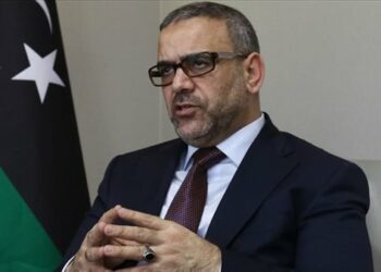 ليبيا..المشري يبحث مع سفير ألمانيا مسار التوافق للوصول للانتخابات 2024