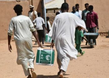  الحوثيون يستولون على قافلة مساعدات من السعودية للشعب اليمنى  2025