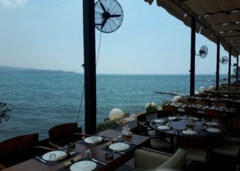 وزيرة لبنانية تطالبت بتعميم تقديم الخمور فى كل الأماكن فى البلاد 2025