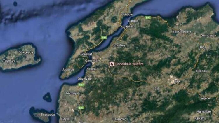 حرائق الغابات توقف الملاحة في مضيق الدردنيل 1 حرائق الغابات توقف الملاحة في مضيق الدردنيل 2025