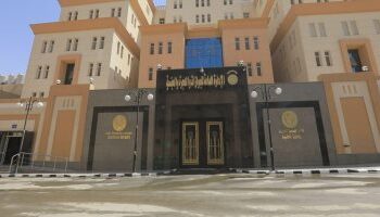 مصر ترفض طلب رد الجنسية  لمن فقدها بسبب التجنس بجنسية أجنبية 2025