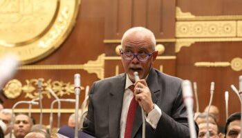 برلمانى مصرى : الإفراج عن 33 محبوسا احتياطيا ليس كافة لإنهاء الملف 2025