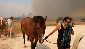 السلطات الأمريكية تأمر بسرعة إجلاء آلاف الأشخاص بسبب حرائق الغابات 2025