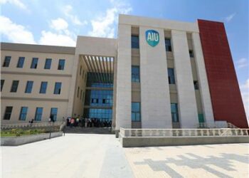 جامعة مصرية تفشل فى التأهل لجائزة الأفضل في استراتيجية التدويل بالشرق الأوسط 2025
