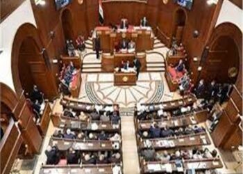 برلماني مصرى :  زيادة أسعار توريد قصب وبنجر السكر لم  يحقق الاكتفاء الذاتي 2025