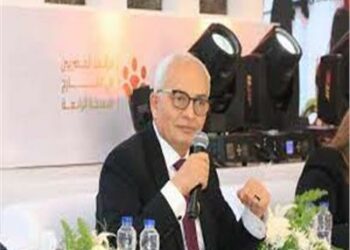 وزارة التعليم المصرية : ليس هناك فرص للطلاب لتعلم لغات أجنبية 2025