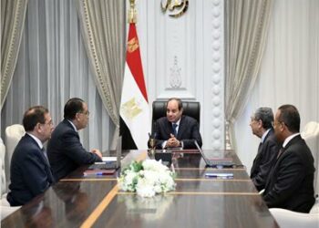 الرئيس المصرى يوجه الحكومة بحل مشكلة استمرار انقطاع التيار الكهربائي  2025