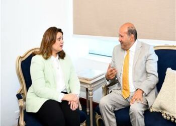 المصريين بالخارج يرفضون المشاركة فى مبادرة المشروعات الخضراء الذكية 2025