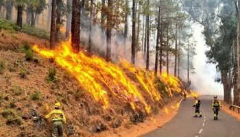 السلطات اليونانية تأمر بإخلاء قريتين لنشوب حريق غابات جديد قرب أثينا 2025