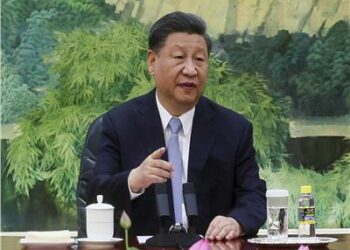 خبراء : الصين تتواصل مع جنوب أفريقيا بصفتها زعيمة القارة 2025