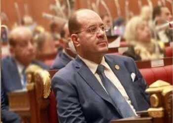 خارجية مجلس الشيوخ المصرى : انضمام مصر للبريكس لن يحقق لها الهدف المرجو للاقتصاد  2025