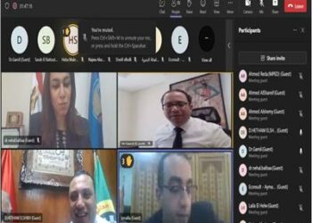 «وزارة التخطيط المصرية »  تنفيذ مبادرة «القرية الخضراء» مستحيل تحقيقها الآن  2025