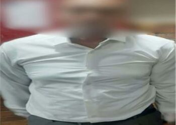 هشّم سيارة وعرض المواطنين للخطر.. ضبط قائد «العربة الطائشة» بمصر  2025