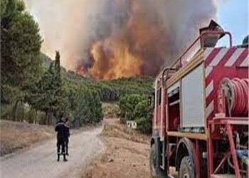 تونس:  اضرار حرائق الغابات فى بلادنا لا يمكن حصرها  2025