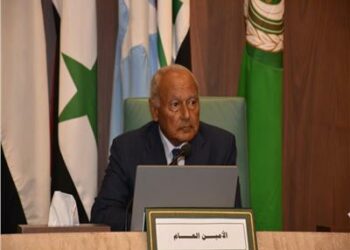 أبو الغيط: نعد للقمة التنموية بموريتانيا رغم الرفض الأفريقي وتوتر الأوضاع 2024