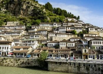  بسبب السرقة ...الحكومة الإيطالية تسدّد نيابة عن سائحين فاتورة مطعم في ألبانيا 2025