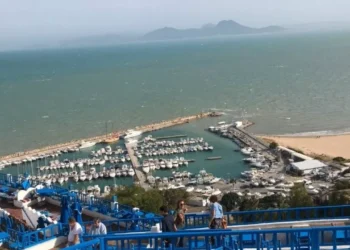 روسيا : تونس الواجهة السياحية الأولى عربيا وأفريقيا للروس  2025