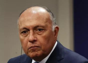 مصر: ليس لدينا نية لأي "حل وسط" فى أزمة سد النهضة  2025