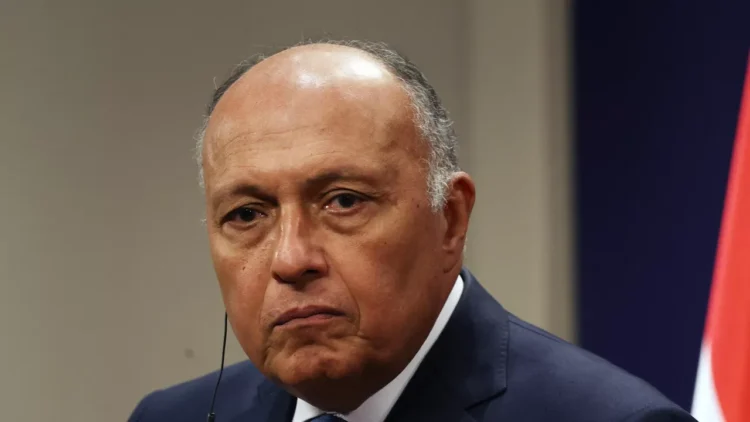 مصر: ليس لدينا نية لأي "حل وسط" فى أزمة سد النهضة 1 مصر: ليس لدينا نية لأي "حل وسط" فى أزمة سد النهضة 2025