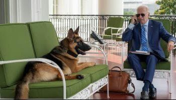 للمرة الـ 11.. كلب بايدن يعقر أحد موظفى البيت الأبيض 2024