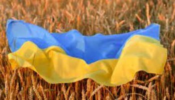 أوكرانيا تقرر مقاضاة بولندا وسلوفاكيا والمجر بسبب حظر وارداتها 2025