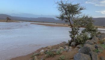 أمطار وفيضانات مدمرة تجتاح موريتانيا. وتتسبب فى انقطاع الكهرباء والمياه 2025