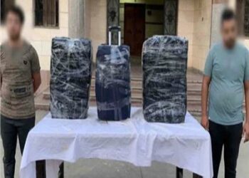 مافيا تحويل  الاموال من الخارج  تسيطر على سوق المال فى مصر  2025