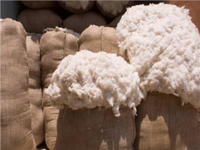 مصر : بيع محصول القطن الزهر موسم 2024/2023 بأسعار منخفضة وسط حزن من المزارعين 1 مصر : بيع محصول القطن الزهر موسم 2024/2023 بأسعار منخفضة وسط حزن من المزارعين 2025