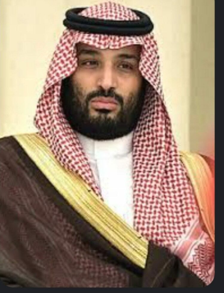 أطلقه محمد بن سلمان… تفاصيل مخطط مشروع "قمم السودة" 2024