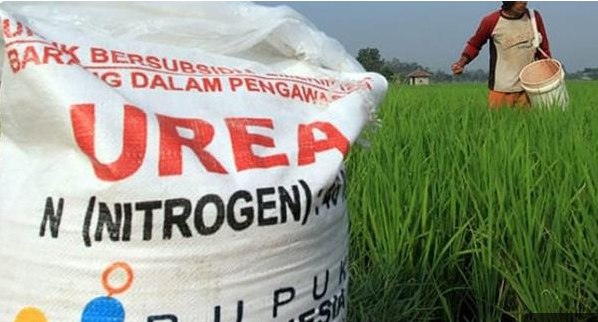 الصين توقف تصدير اليوريا 1 الصين توقف تصدير اليوريا 2025