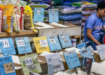 أزمة الأرز في الفلبين تنذر بخطر غذائي عالمي 2024