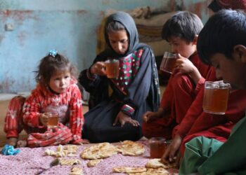 تقرير : الجوع يضرب أفغانستان ‎ 2024