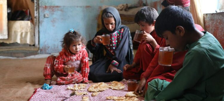 تقرير : الجوع يضرب أفغانستان ‎ 2024