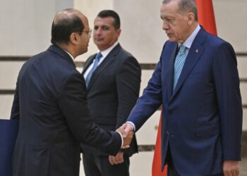 أردوغان يتسلم أوراق السفير المصري لدى تركيا 2024
