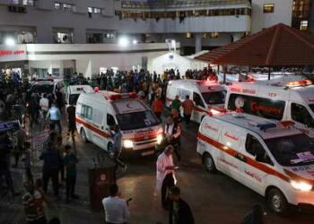 عاجل … قوافل المساعدات الإنسانية لسكان غزة تصل معبر رفح 2025