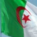 وزير الصحة الجزائرى  تفشى حشرات "بق الفراش" فى البلاد …ومخاوف من انتشار الاوبئة 2024
