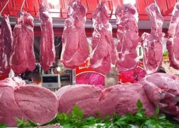 ارتفاع أسعار اللحوم اليوم في مصر الجمعة 6-10-2023 2025