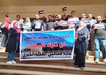 محامى مصر ينظمون وقفة للتعاون مع غزة وفلسطين 2025