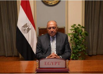 وزير الخارجية المصري يؤكد على ضرورة إنفاذ هدنة إنسانية فورية في غزة 2024