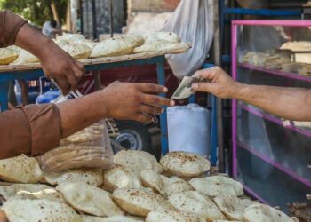 البنك الدولي يتوقع ارتفاع معدل التضخم السنوي في مصر إلى رقم قياسي 2025