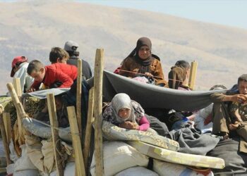 الدولية للهجرة تكشف عن نزوح الآلاف من جنوب لبنان 2024