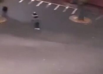 مشهد مروع من فرنسا.. شيشاني ينقض بسكين على معلم ويقتله 2025