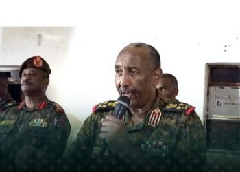 البرهان: الجيش السوداني يقاتل مرتزقة من جميع الجهات 2024