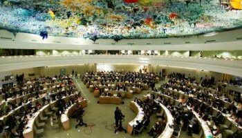 منظمة تنمية المرأة تستنكر تصريحات مندوب إسرائيل بمجلس الأمن ضد المرأة 2025