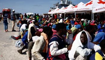 وزير خارجية النمسا: الحكومات الأوروبية ستنهار قريبا بسبب قضية الهجرة 2025