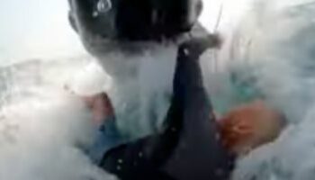  قصة حقيقية اغرب من الخيال ... حوت يصدم رجلاً أستراليًا أثناء تزلجه على الأمواج  2025